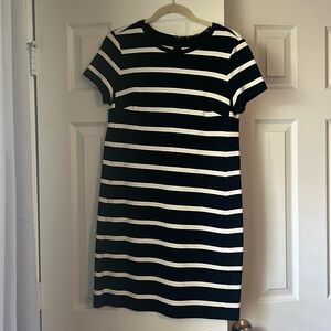 Loft Navy and White Shift Dress